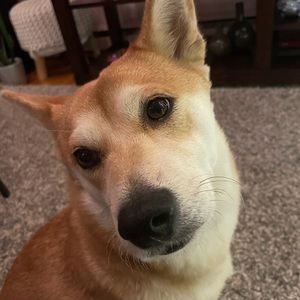 Meet your Posher, Minisocc